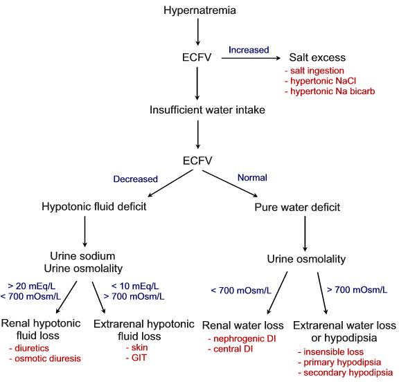 햇빛의료판례 > 용어사전 > 나트륨 증가증, 고나트륨혈증, hypernatremia